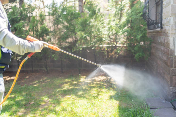 Flea Control Services in Afton, MN