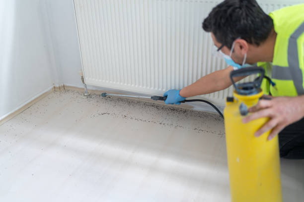 Best Affordable Pest Control Services  in Afton, MN