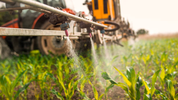 Best Mosquito Control Services  in Afton, MN